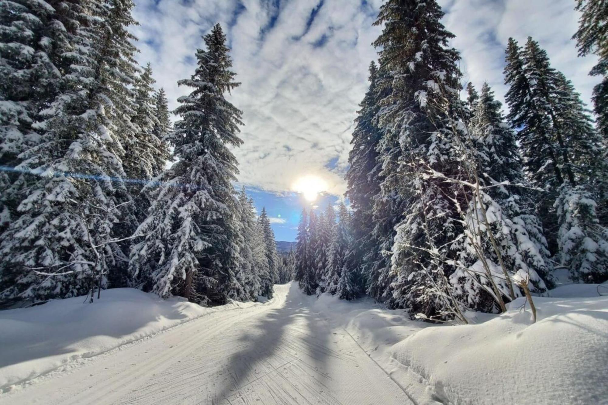 Chaleureux Studio Au Pied Des Pistes - Le Refuge Les Déserts Zewnętrze zdjęcie